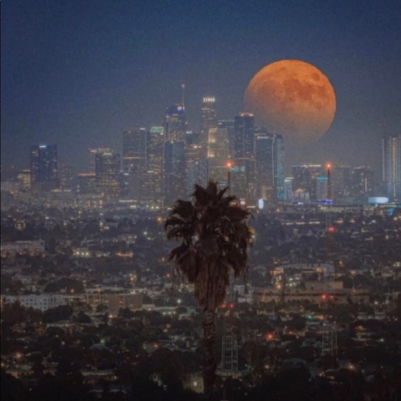 Meet your Posher, James - Picture 1 of 1